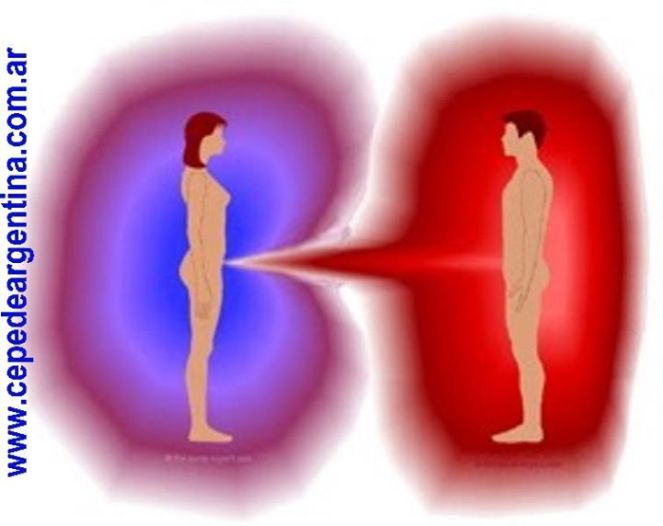 558233_451721498183880_428770434_n