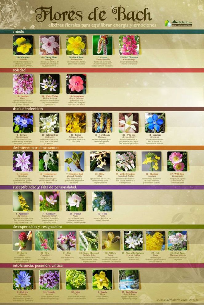 6e72886f299f7fad8f1f3153286099f5