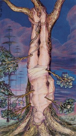 88d0c6bd90e5e4477725ffbf3258788e