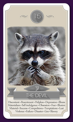 raccoon-tarot-13019