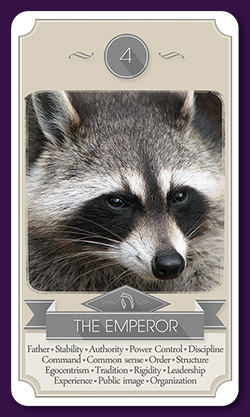 roberto-viesi-tarot-12778