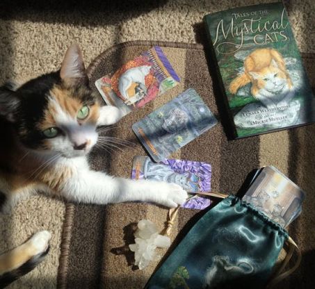 cf14dbaf86521549db8a9266e3536964