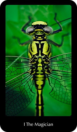 frideborg-tarot-13947