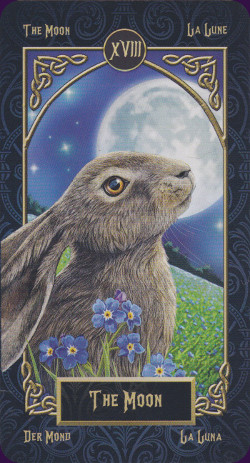 tarot-familiars-15039