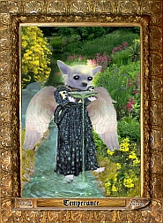 medieval-chihuahua-10293