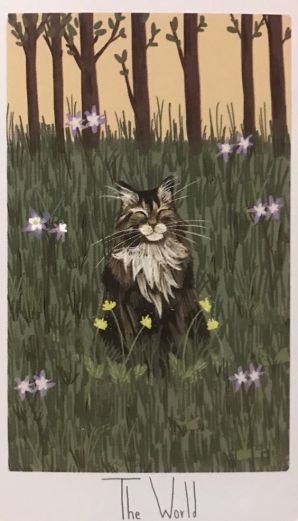 efe8bf51a3ed050fba0a4bf164f0a41c